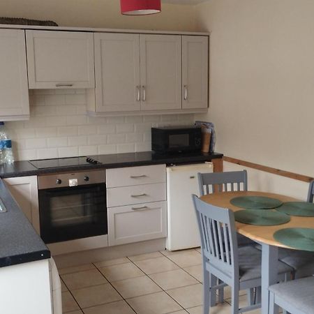 Вілла Townhouse 3 Barrow Lane Bagenalstown Екстер'єр фото