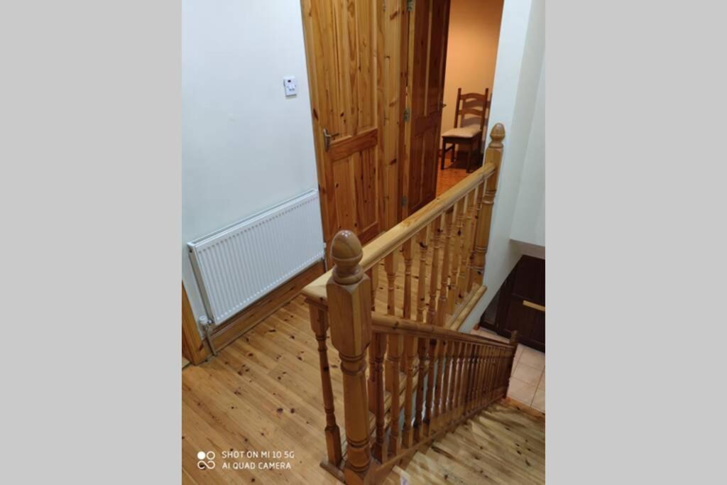 Вілла Townhouse 3 Barrow Lane Bagenalstown Екстер'єр фото