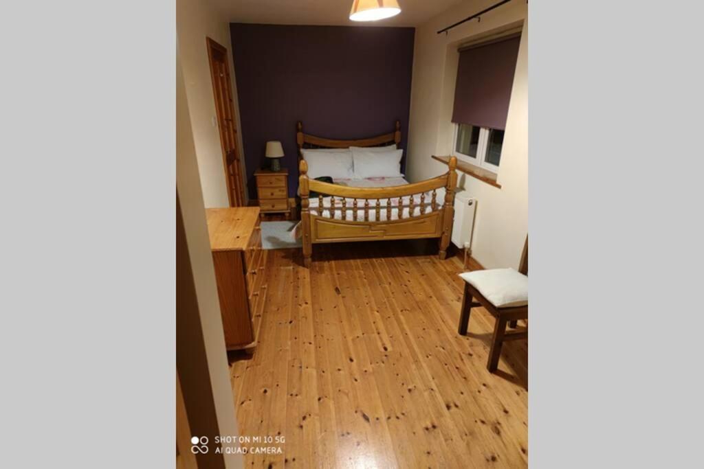 Вілла Townhouse 3 Barrow Lane Bagenalstown Екстер'єр фото