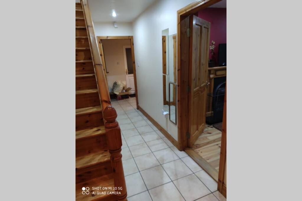 Вілла Townhouse 3 Barrow Lane Bagenalstown Екстер'єр фото