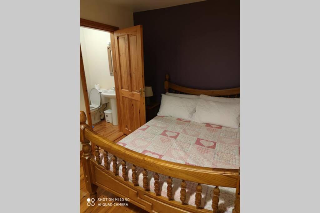 Вілла Townhouse 3 Barrow Lane Bagenalstown Екстер'єр фото
