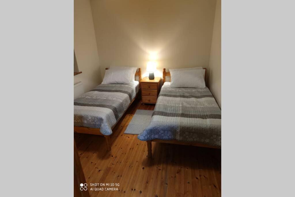 Вілла Townhouse 3 Barrow Lane Bagenalstown Екстер'єр фото