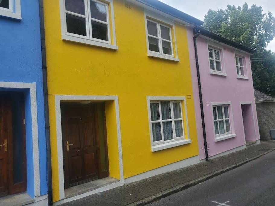 Вілла Townhouse 3 Barrow Lane Bagenalstown Екстер'єр фото