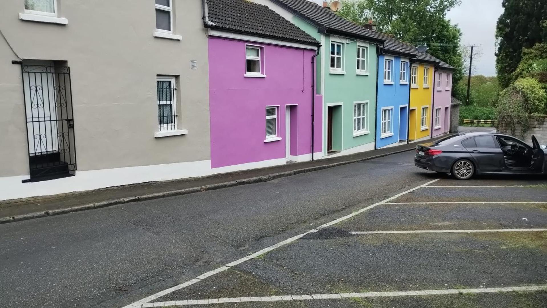 Вілла Townhouse 3 Barrow Lane Bagenalstown Екстер'єр фото